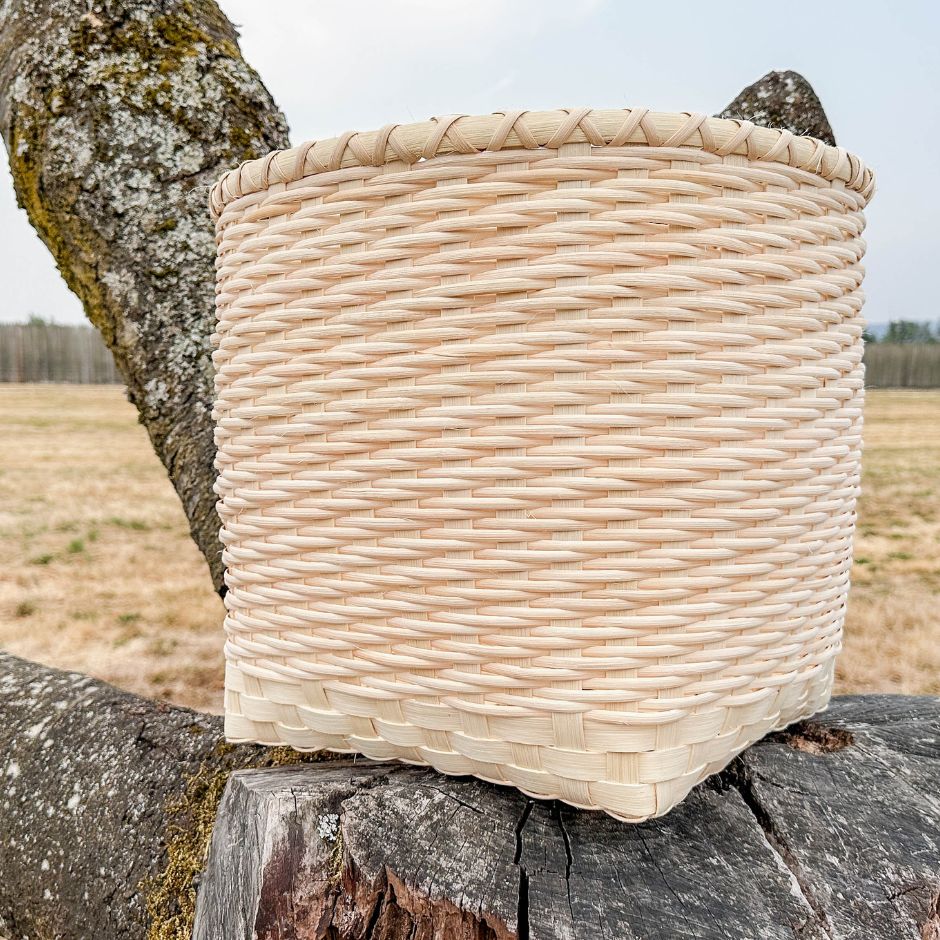 Twill Basket Blanket sitting in the crook of a lichen covered tree.