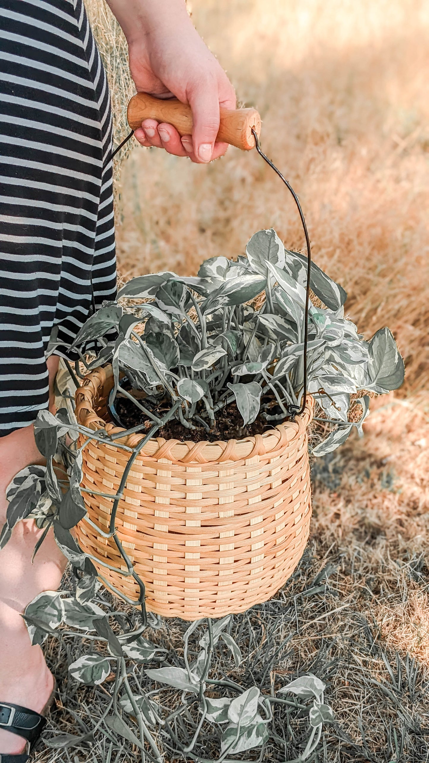 VIDEO Course - Bean Pot Basket