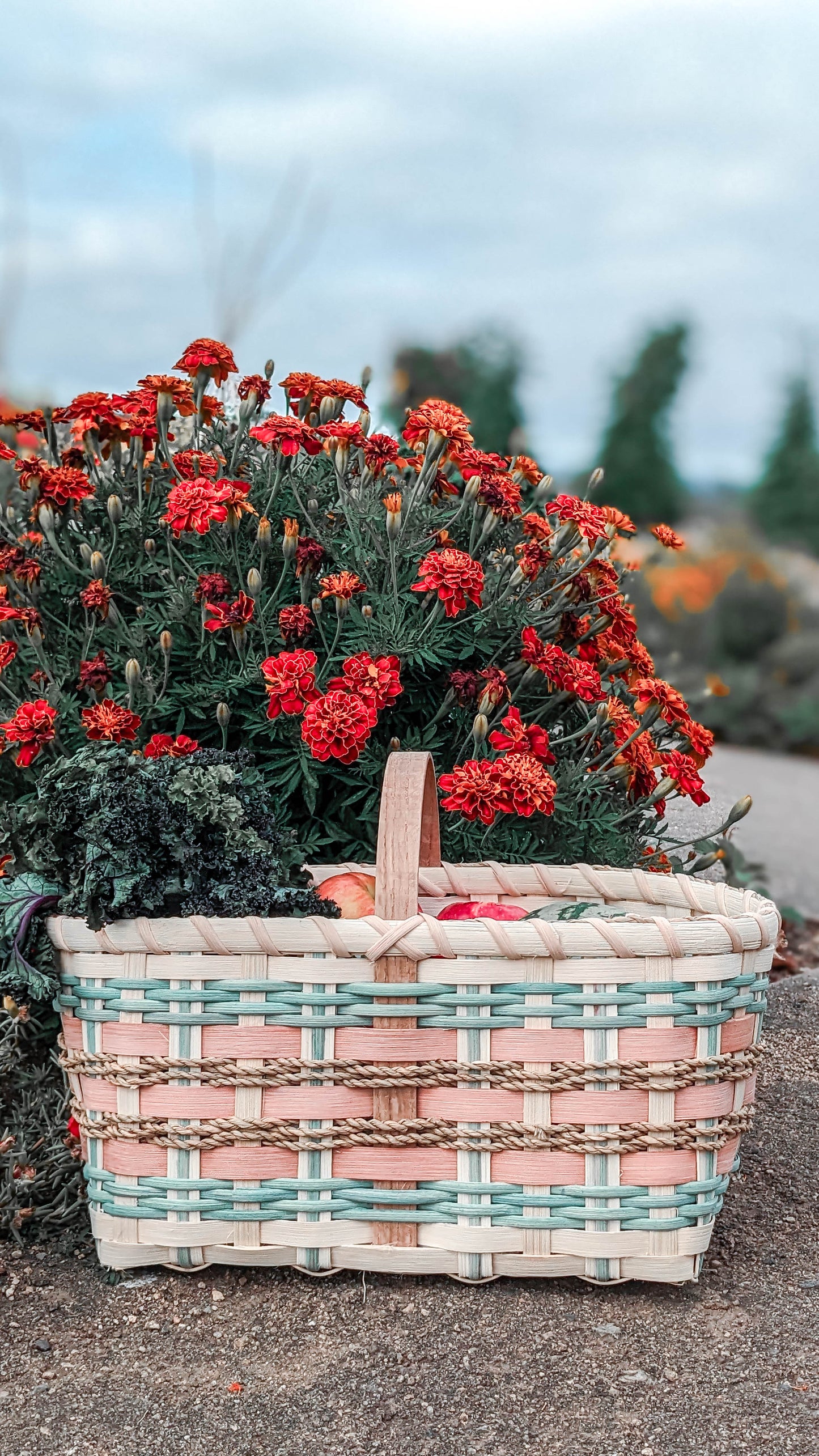 VIDEO Course - Colorful Market Basket