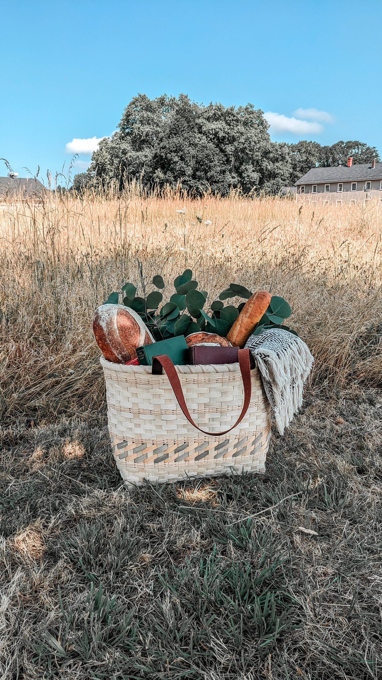 VIDEO Course - Randed Tote Basket