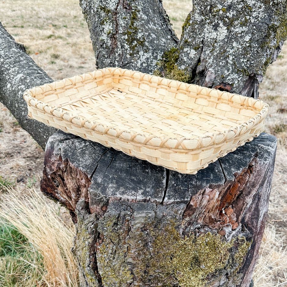 Coffee table basket in profile sitting on a tree stump. 