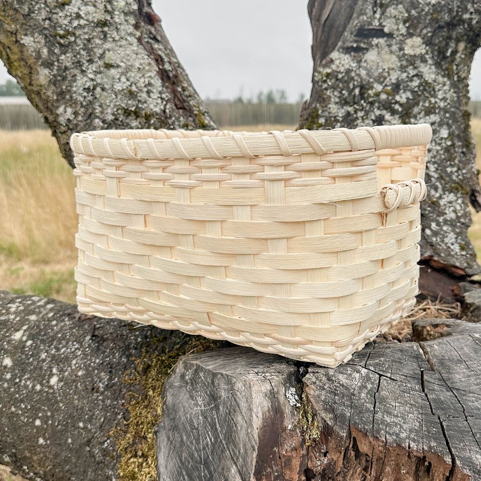 Woven handled storage basket sitting in the crook of a tree.