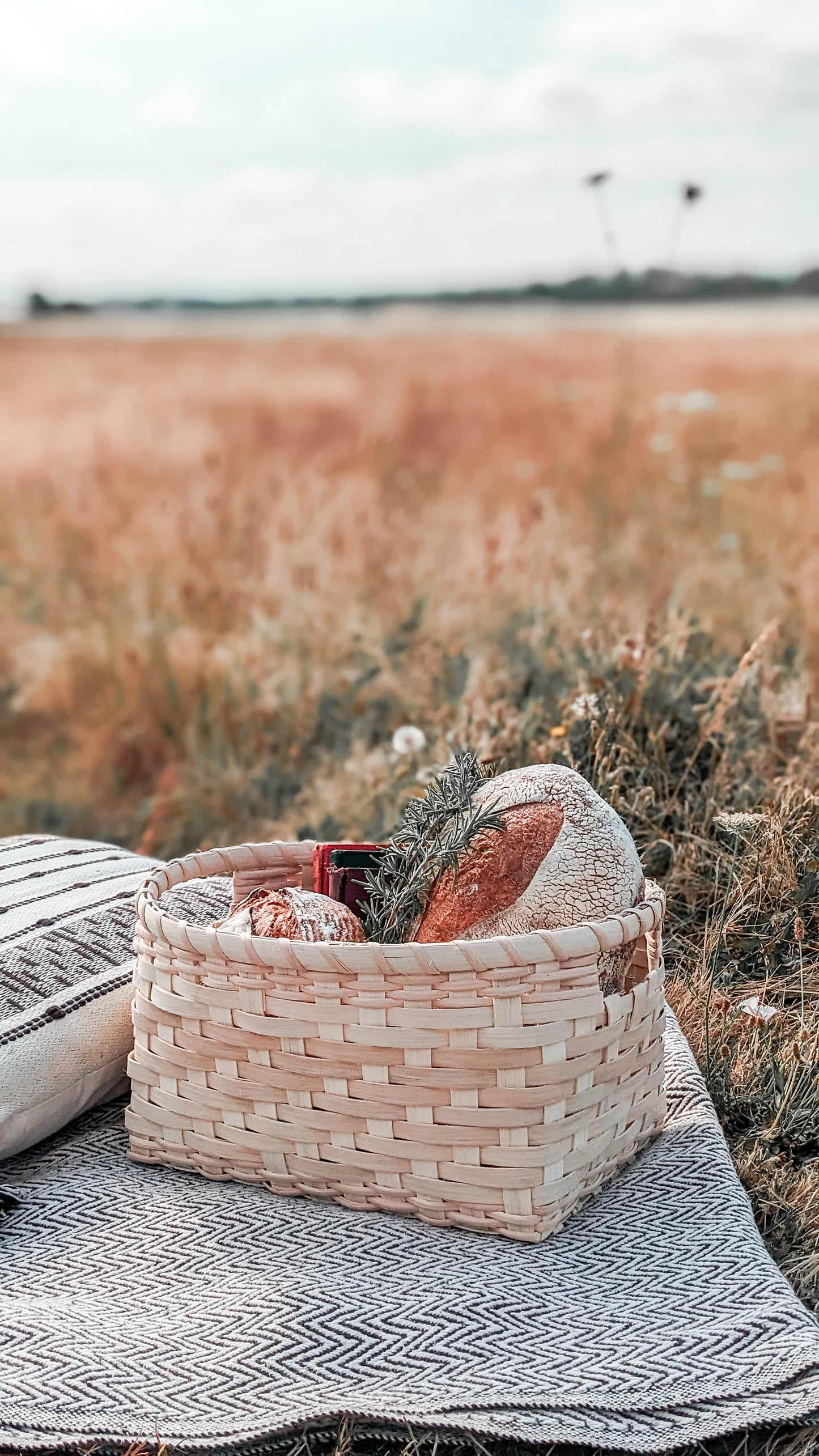 VIDEO Course - Handled Storage Basket