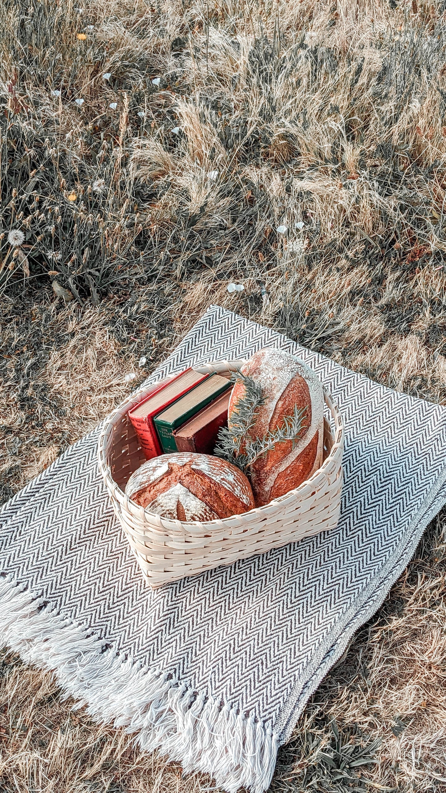 VIDEO Course - Handled Storage Basket