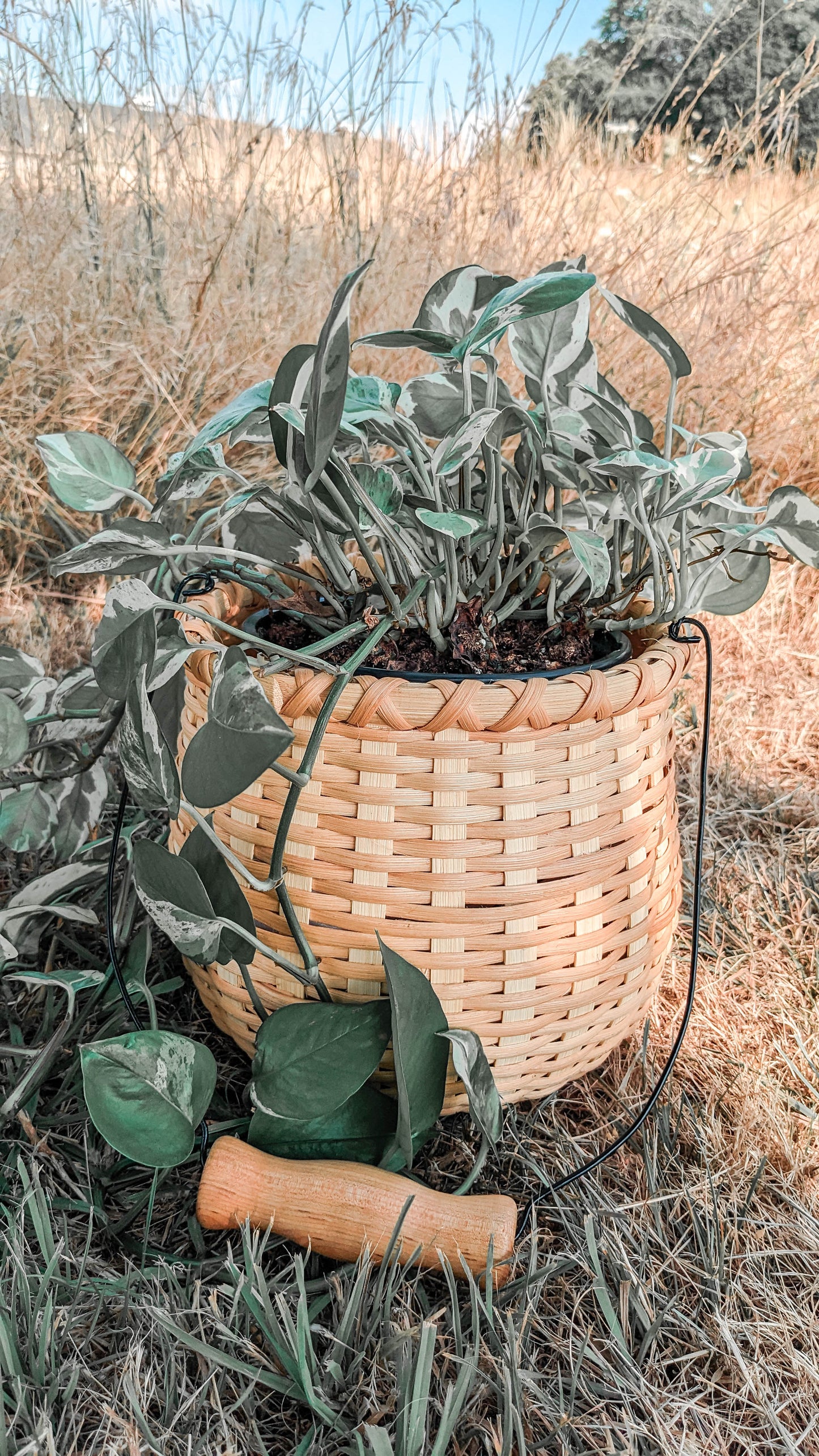 VIDEO Course - Bean Pot Basket