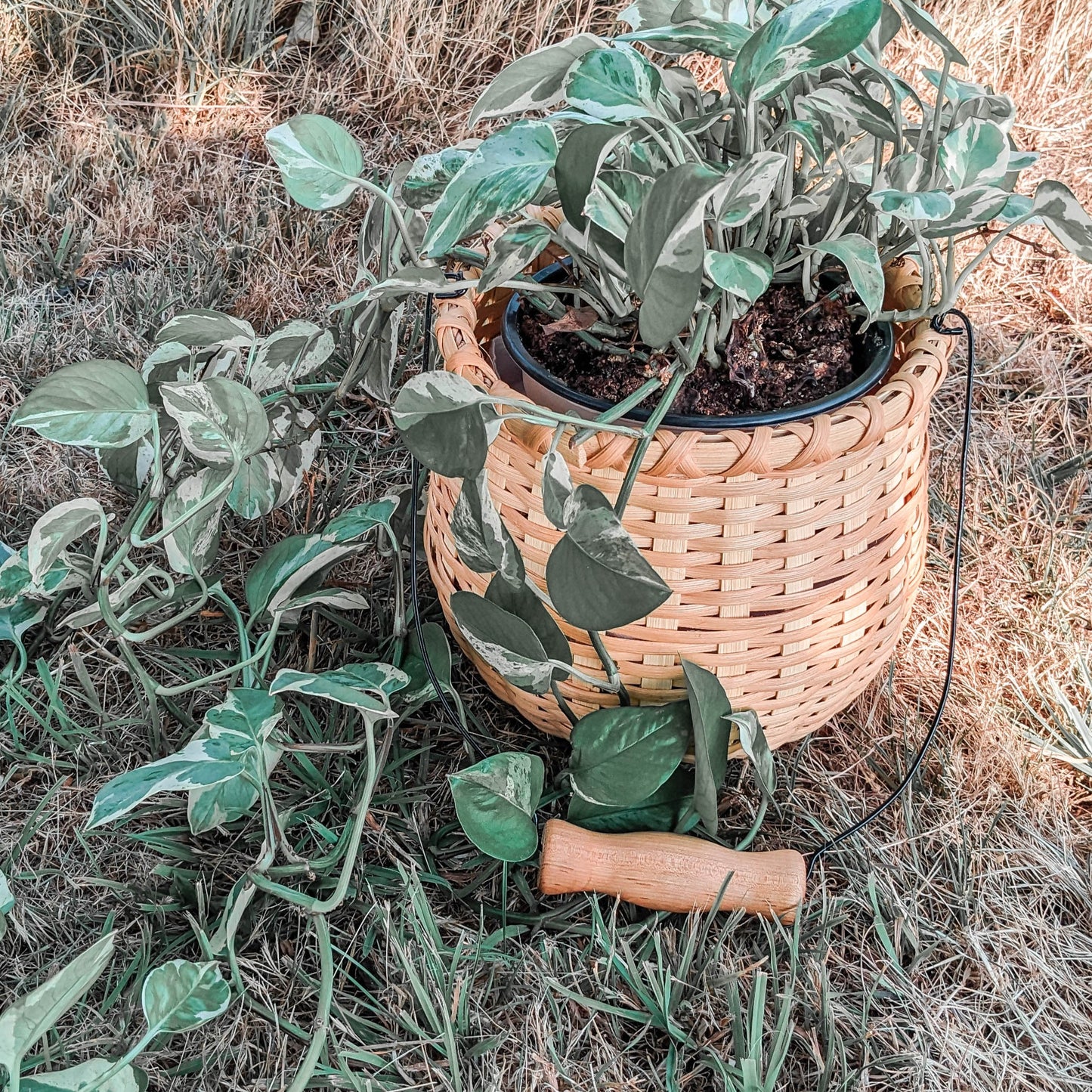 VIDEO Course - Bean Pot Basket