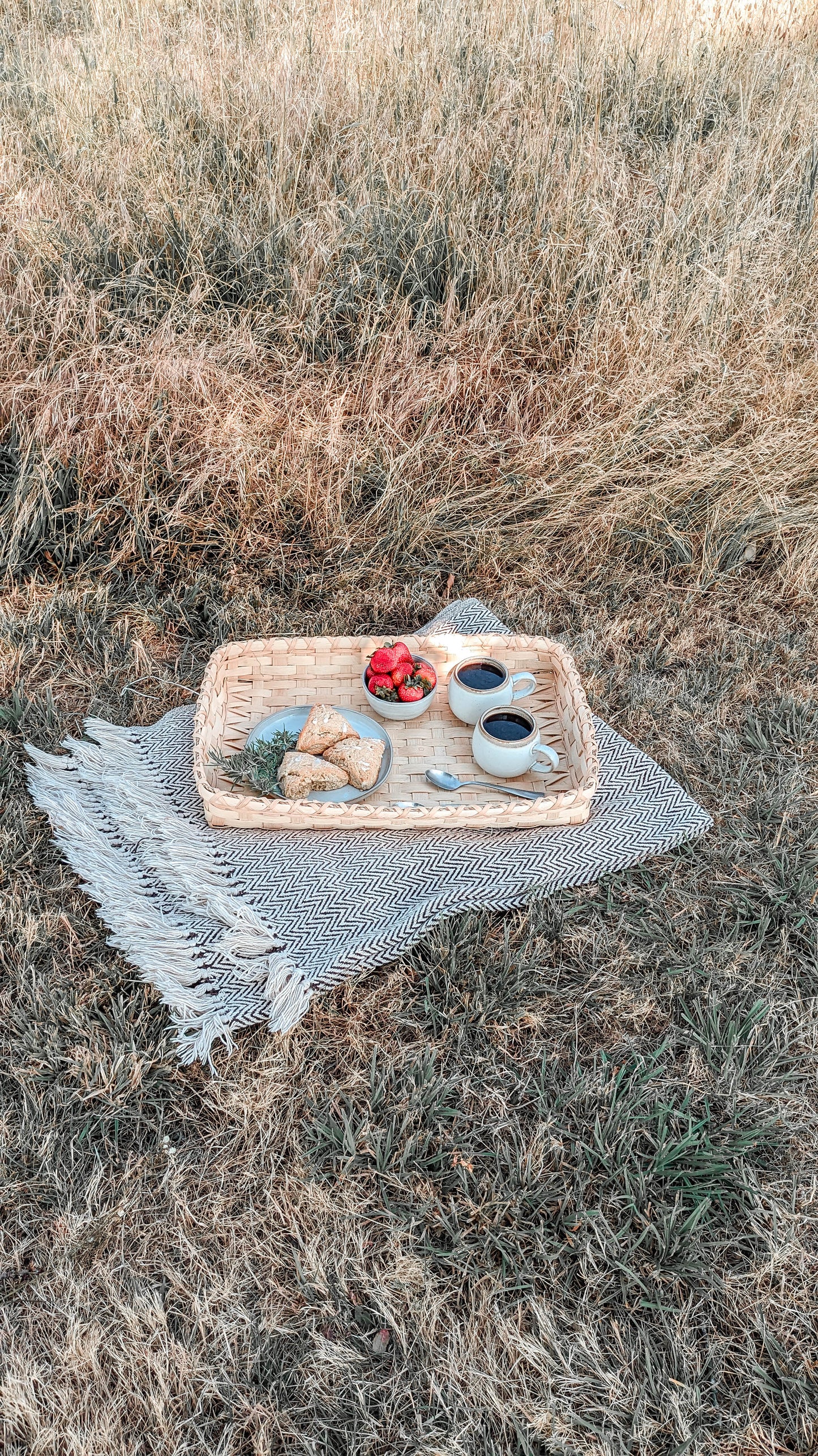 VIDEO Course - Coffee Table Tray Basket