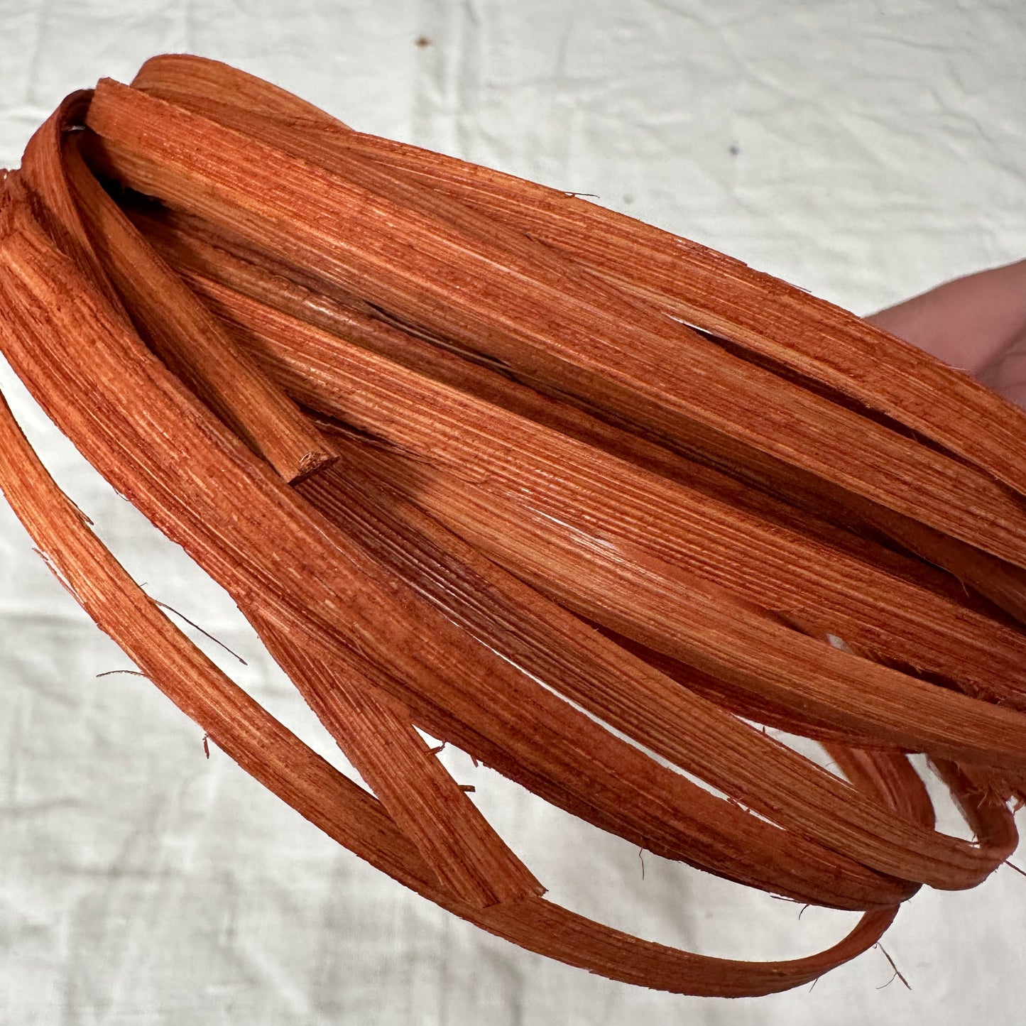 Limited Edition Pacific Coast Theme Dyed Reed