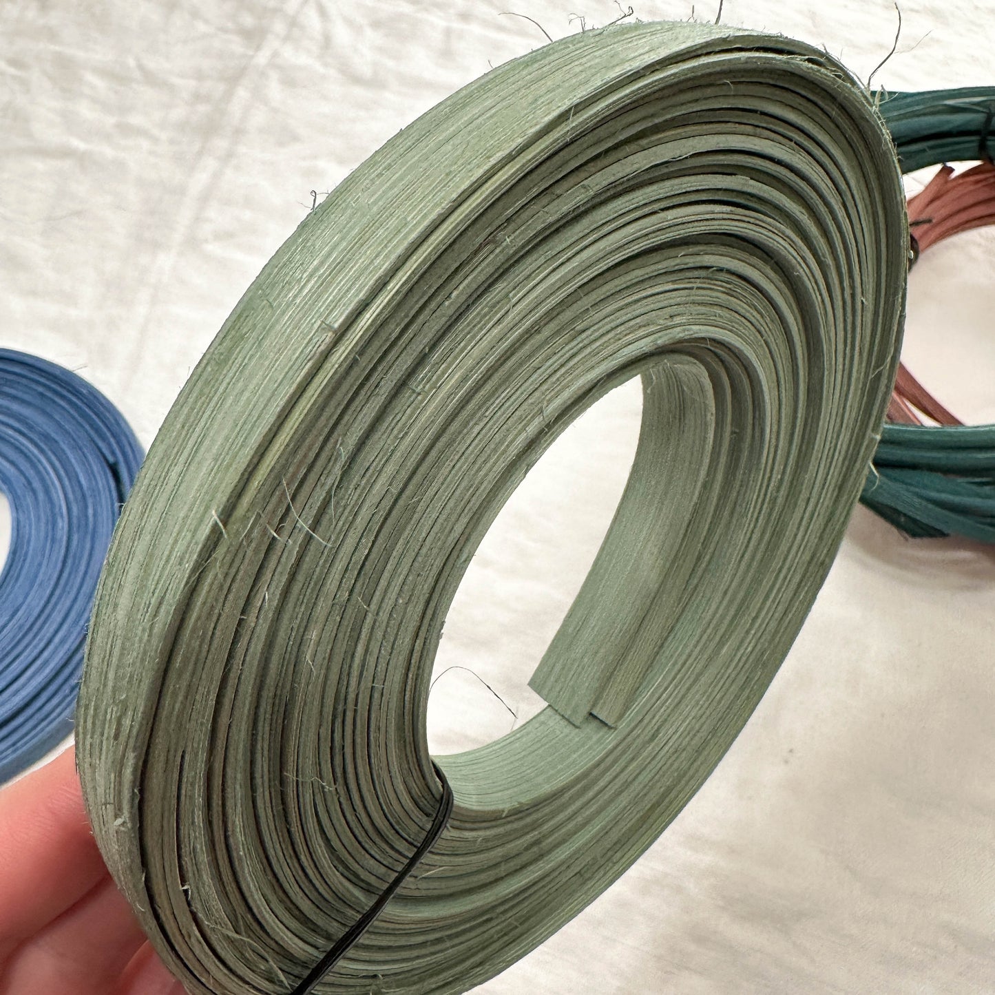 Limited Edition Mount Rainier Inspired Reed Collection