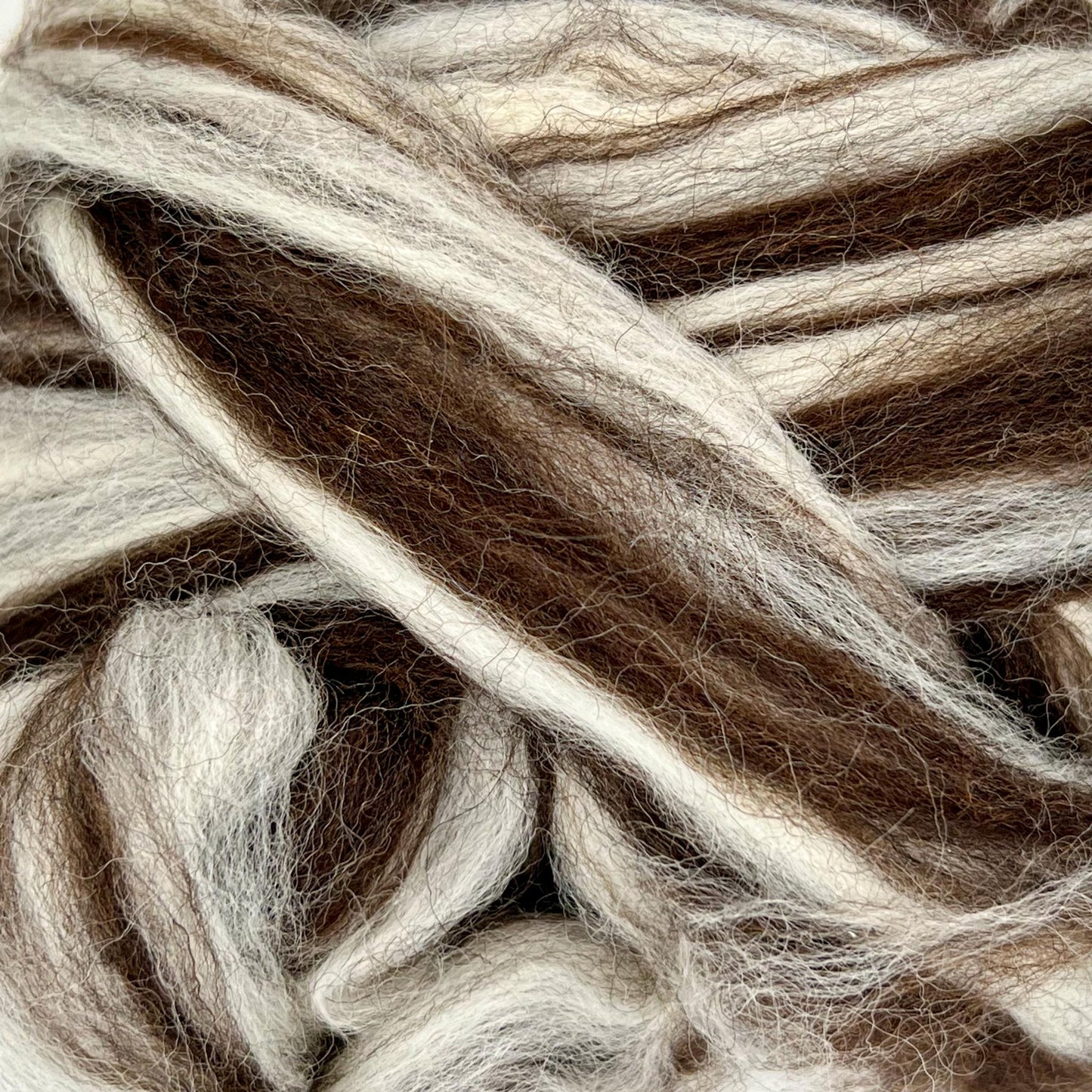 Yin Yang Natural Blend of Corriedale Wool Roving (8 Ounces) |  Cleaned and Combed Core Wool